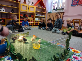 IMG20250327094529