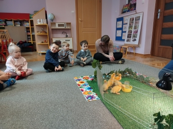 IMG20250327094711