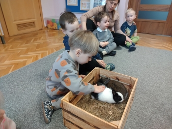 IMG20250327100145