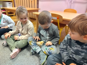 IMG20250327102923