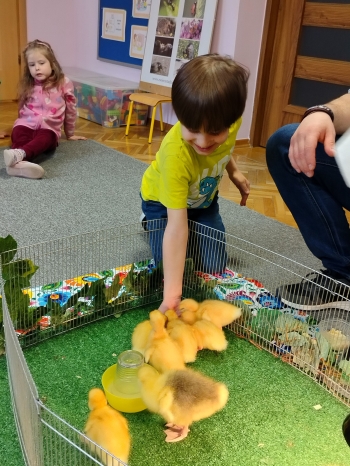 IMG20250327104709