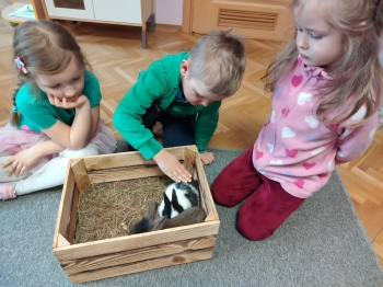 IMG20250327105255