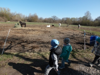 100_1904.JPG