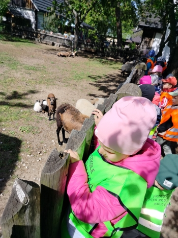 IMG20250507102928