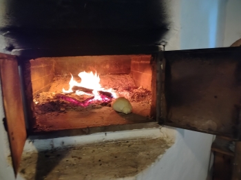 IMG20250507105340