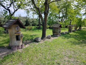 IMG20250507135834