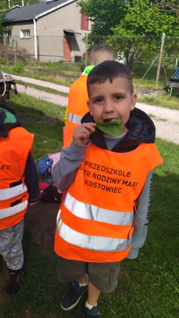 Zdjęcie WhatsApp 2025-04-29 o 20.57.44_d001b095