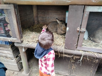 IMG20250604085920