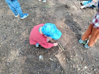 IMG20250604105803