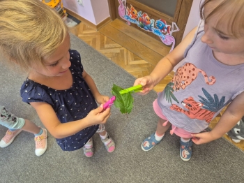 Zdjęcie WhatsApp 2025-09-05 o 23.13.44_3199eb06