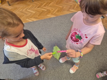 Zdjęcie WhatsApp 2025-09-05 o 23.13.45_3ea30788