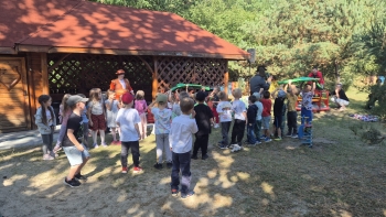 Zdjęcie WhatsApp 2025-09-15 o 20.22.15_cae5ac33