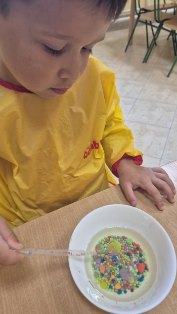 Zdjęcie WhatsApp 2025-09-16 o 12.19.44_06d4d11d