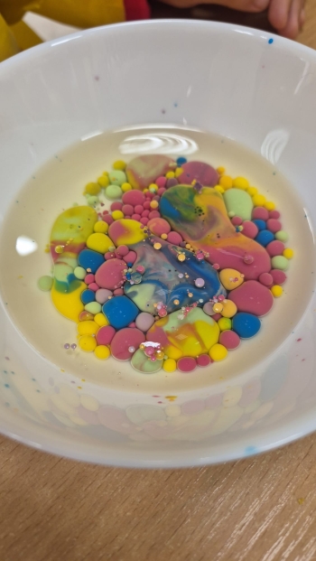 Zdjęcie WhatsApp 2025-09-16 o 12.19.45_178123dd