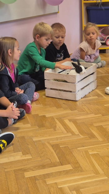 Zdjęcie WhatsApp 2025-09-17 o 11.22.16_94576d6e