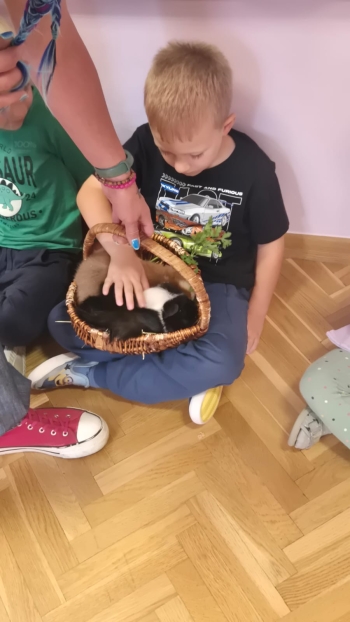 Zdjęcie WhatsApp 2025-09-17 o 11.22.34_08c80e26