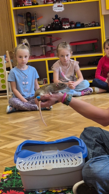 Zdjęcie WhatsApp 2025-09-17 o 11.22.36_4a82044f