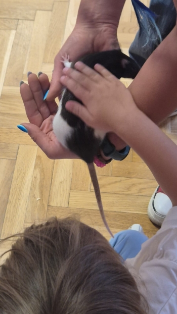 Zdjęcie WhatsApp 2025-09-17 o 11.22.37_19a4aea6