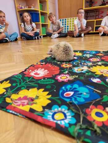 Zdjęcie WhatsApp 2025-09-17 o 12.25.28_e889399f