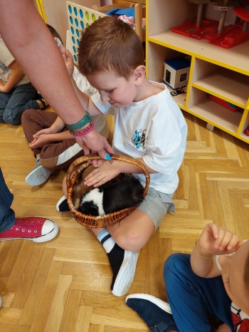 Zdjęcie WhatsApp 2025-09-17 o 12.25.44_fb7432d6