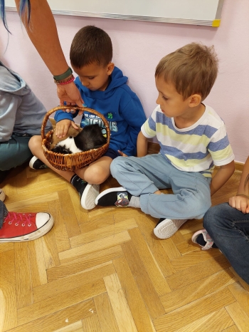 Zdjęcie WhatsApp 2025-09-17 o 12.25.45_471c0847