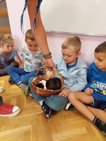 Zdjęcie WhatsApp 2025-09-17 o 12.25.45_44593418