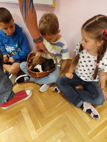 Zdjęcie WhatsApp 2025-09-17 o 12.25.45_ea7a0a16