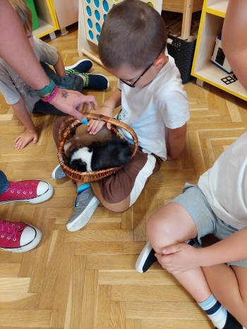 Zdjęcie WhatsApp 2025-09-17 o 12.25.46_58fa6957