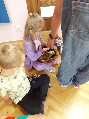 Zdjęcie WhatsApp 2025-09-17 o 12.25.46_79079b74