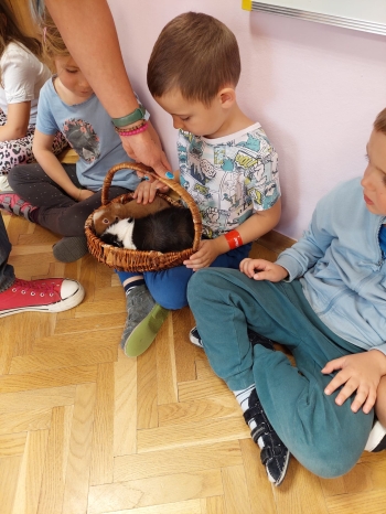 Zdjęcie WhatsApp 2025-09-17 o 12.25.46_aa772ed5