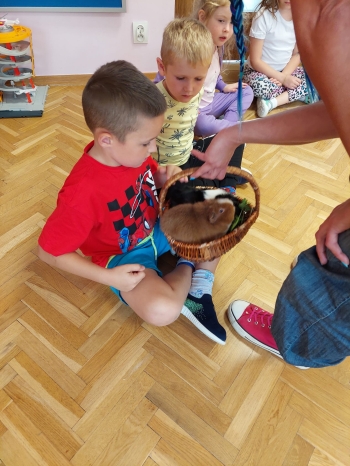 Zdjęcie WhatsApp 2025-09-17 o 12.25.47_20ce8921