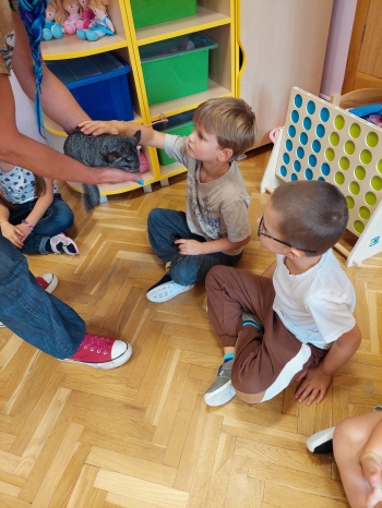 Zdjęcie WhatsApp 2025-09-17 o 12.25.48_d8d86cd0