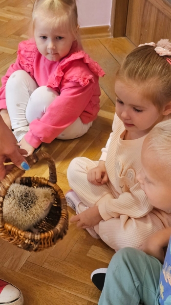 Zdjęcie WhatsApp 2025-09-17 o 12.41.22_5cf746dd