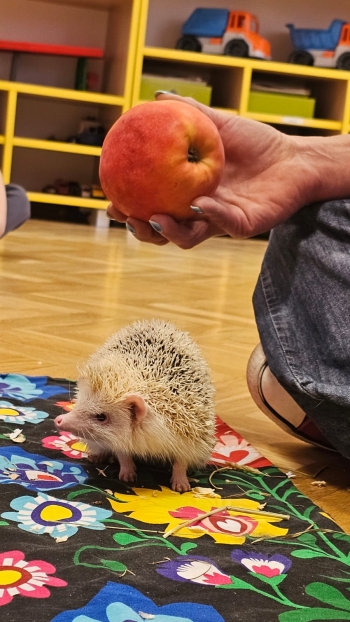 Zdjęcie WhatsApp 2025-09-17 o 12.41.22_108a66a5