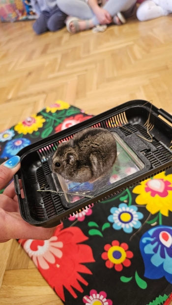 Zdjęcie WhatsApp 2025-09-17 o 12.41.25_2fe427e9