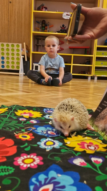 Zdjęcie WhatsApp 2025-09-17 o 12.41.25_bdbedec7