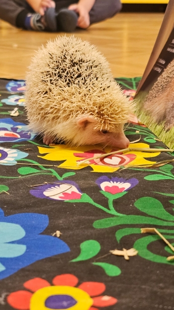 Zdjęcie WhatsApp 2025-09-17 o 12.41.29_3c6d6e49