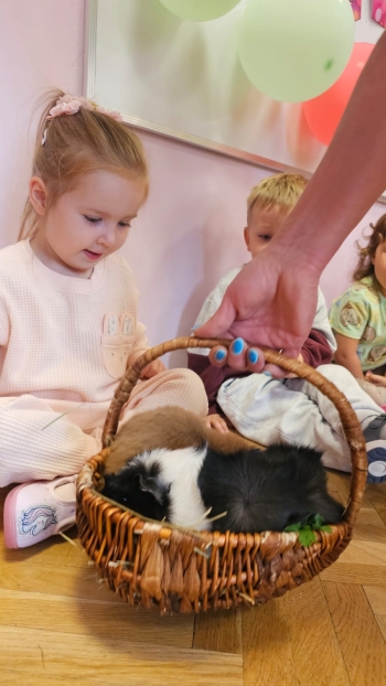 Zdjęcie WhatsApp 2025-09-17 o 12.41.31_5139def4