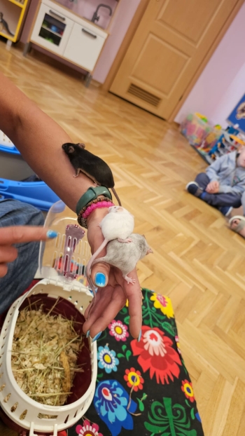 Zdjęcie WhatsApp 2025-09-17 o 12.41.31_ea4f7d3d