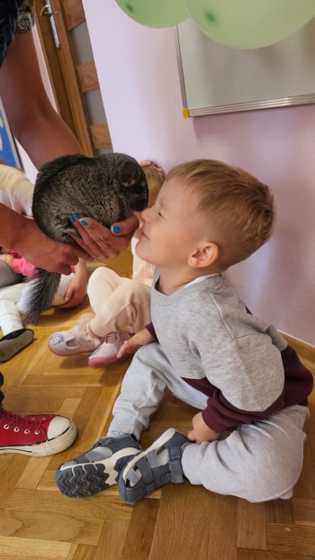 Zdjęcie WhatsApp 2025-09-17 o 12.41.32_3ef9885c