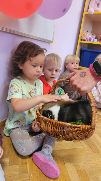 Zdjęcie WhatsApp 2025-09-17 o 12.41.32_569c328e