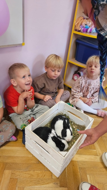 Zdjęcie WhatsApp 2025-09-17 o 12.41.33_e90d1519