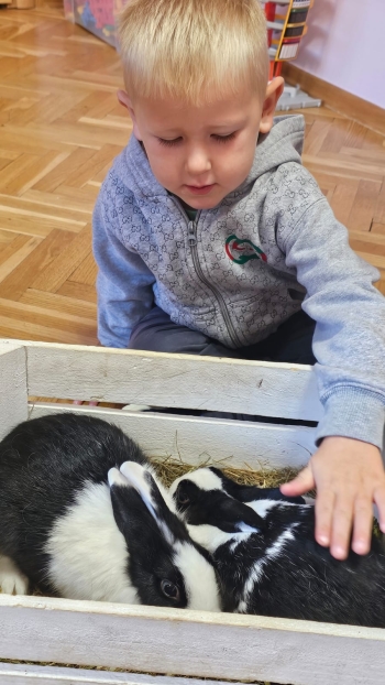 Zdjęcie WhatsApp 2025-09-17 o 12.41.33_84934530