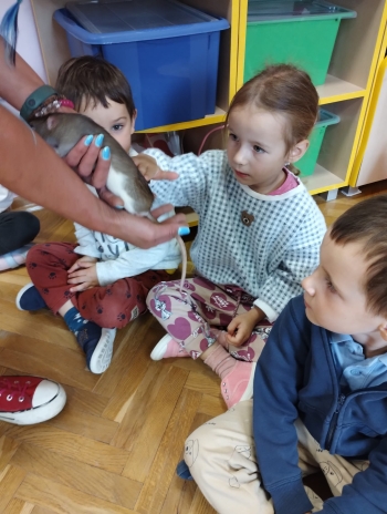 Zdjęcie WhatsApp 2025-09-17 o 15.00.20_111f8cbe