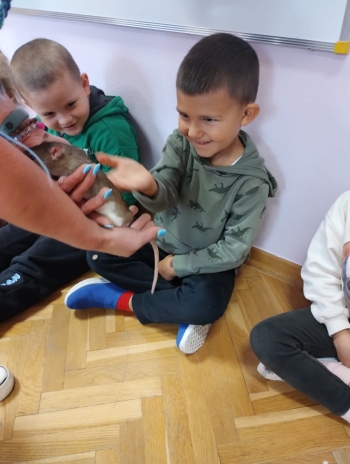 Zdjęcie WhatsApp 2025-09-17 o 15.00.20_545e07f9