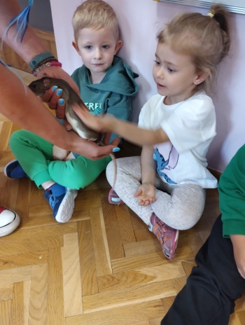 Zdjęcie WhatsApp 2025-09-17 o 15.00.21_91a9978b