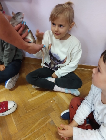 Zdjęcie WhatsApp 2025-09-17 o 15.00.21_dc484124