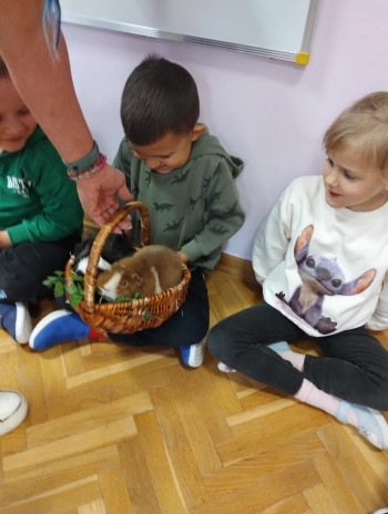 Zdjęcie WhatsApp 2025-09-17 o 15.00.22_0e7cddc8