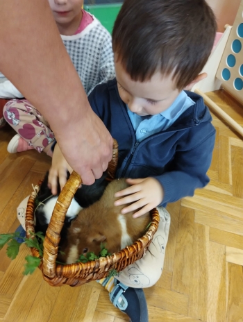 Zdjęcie WhatsApp 2025-09-17 o 15.00.22_a1303c40