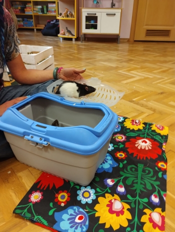 Zdjęcie WhatsApp 2025-09-17 o 15.00.22_62eb8695